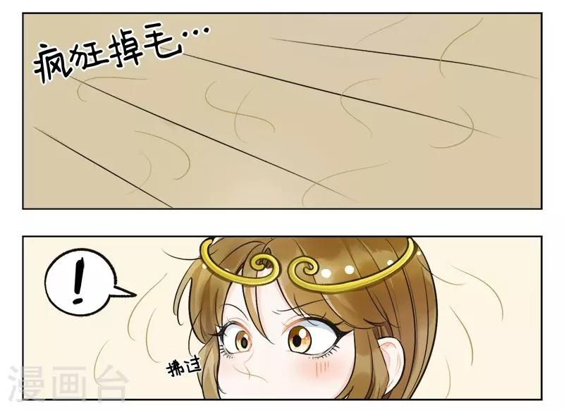 第135话 掉毛猴1-第135话