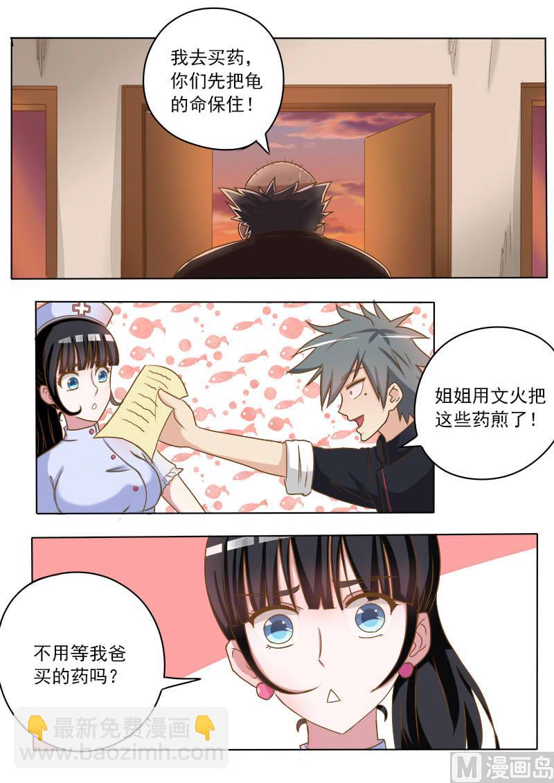 第017话 妙手巧救小乌龟-第17话