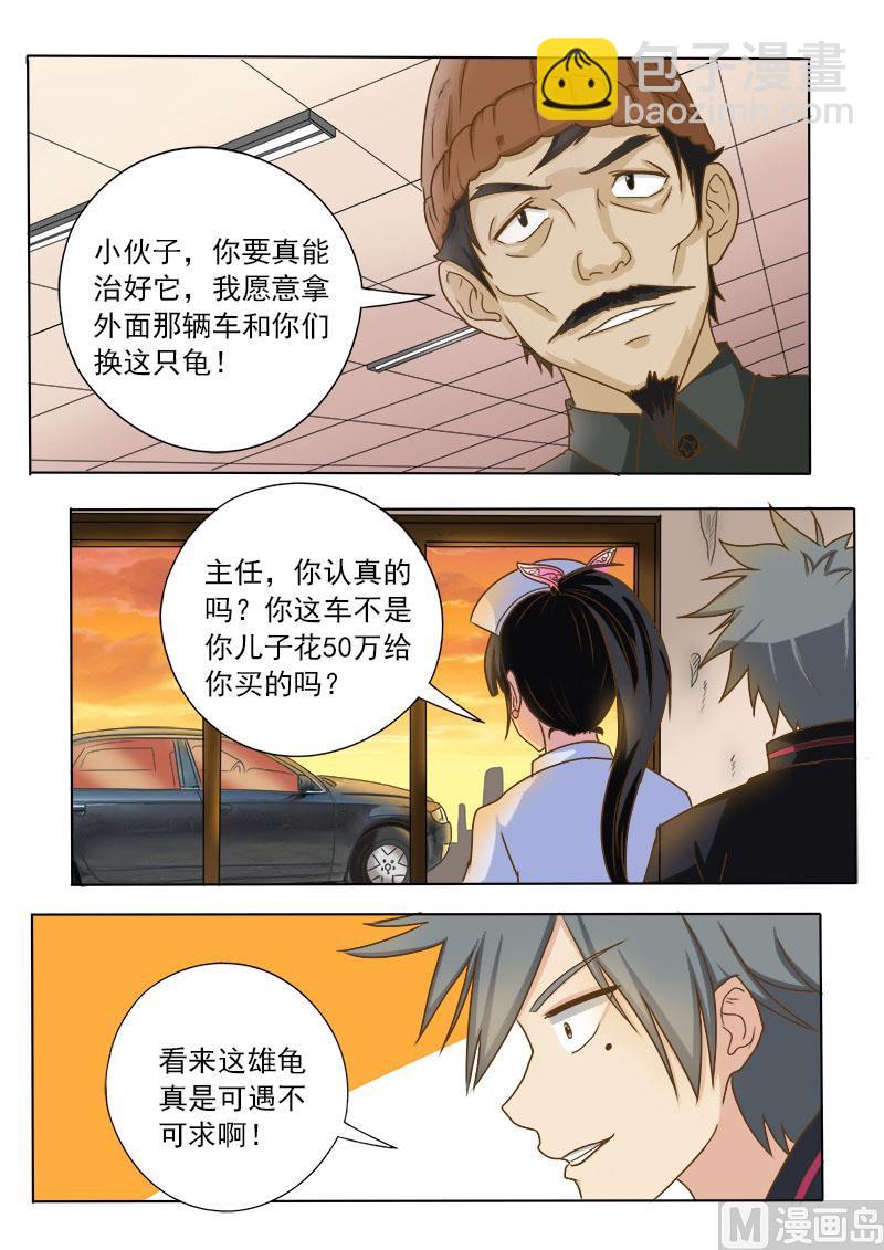 第017话 妙手巧救小乌龟-第17话