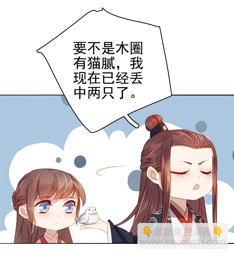 第36话 逛集市-第37话