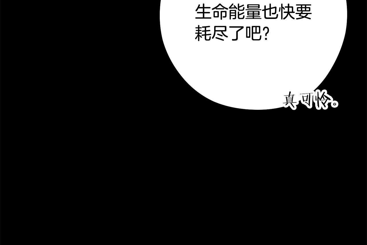 第257话 快把咒语念出来(1/7)-第261话