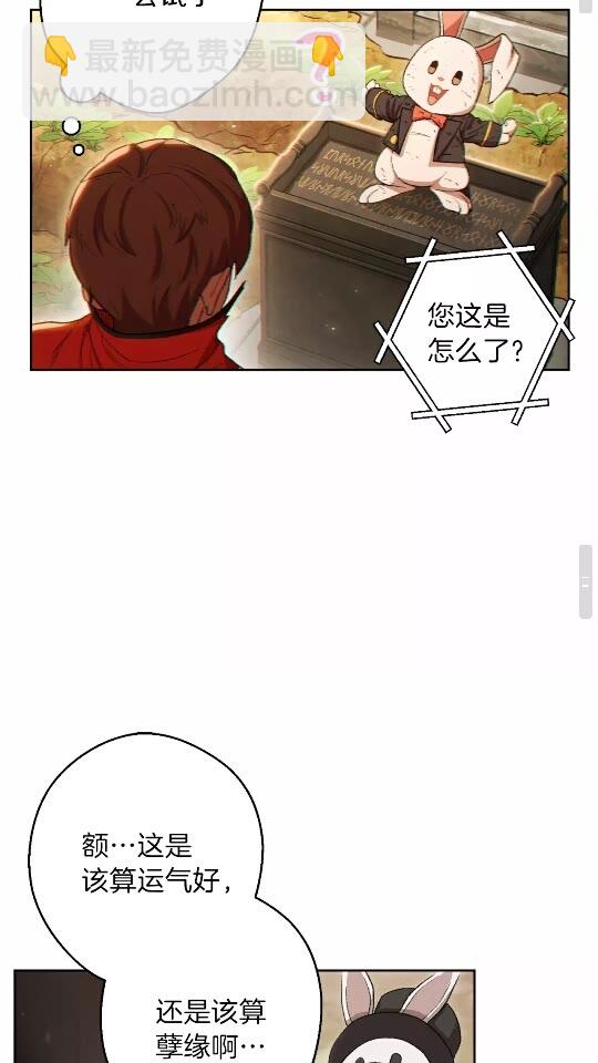 第31话 我兔子将带头种地！(1/2)-第33话