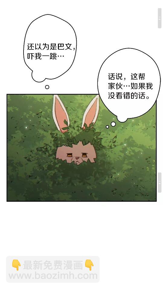 第37话 兔子的史诗技能！(1/2)-第39话