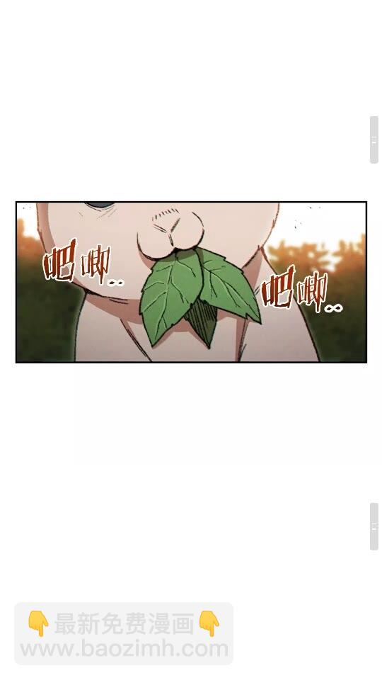 第37话 兔子的史诗技能！(1/2)-第39话