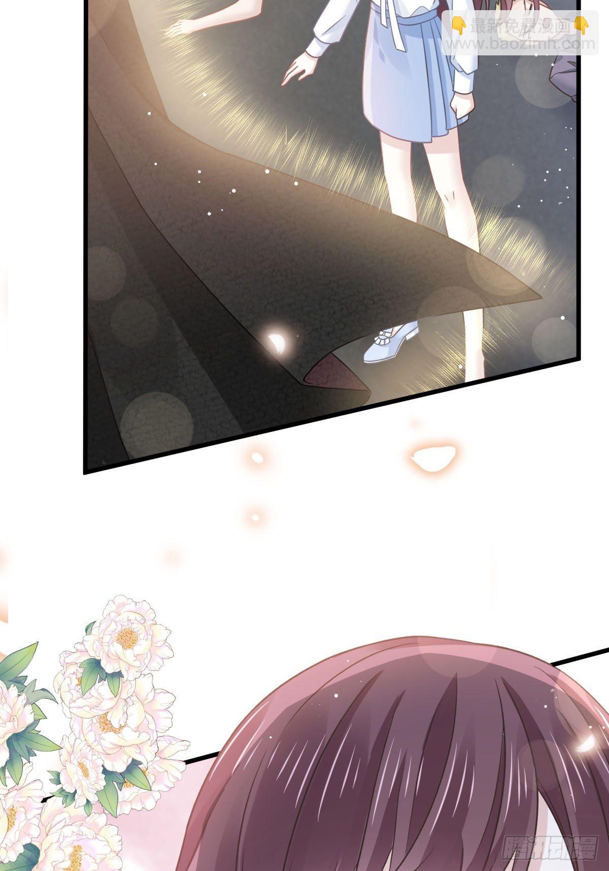 🍲重生成血族总裁的小甜点 028 从天而降 第19页