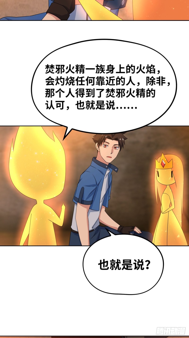🍲重生大玩家 焚邪火精的考验 第14页