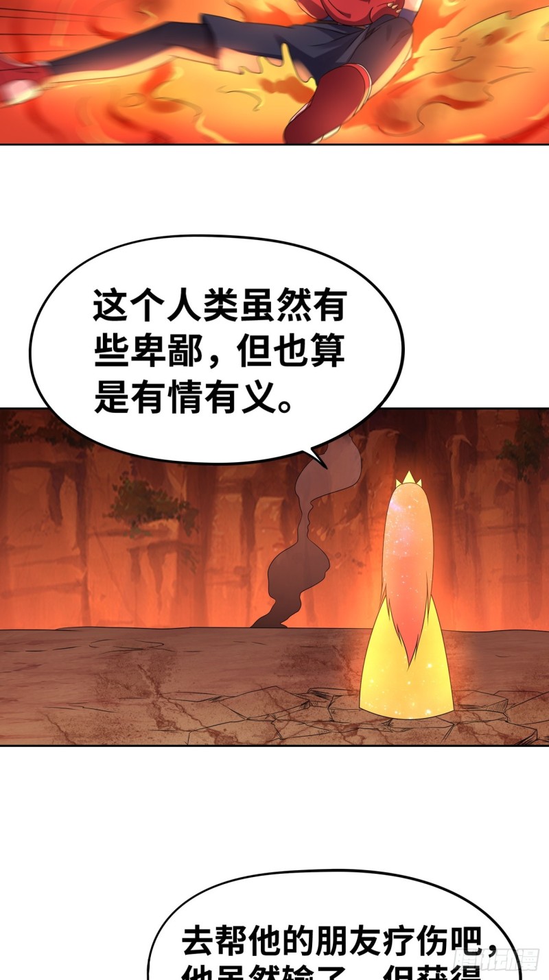 🍲重生大玩家 焚邪火精的考验 第3页