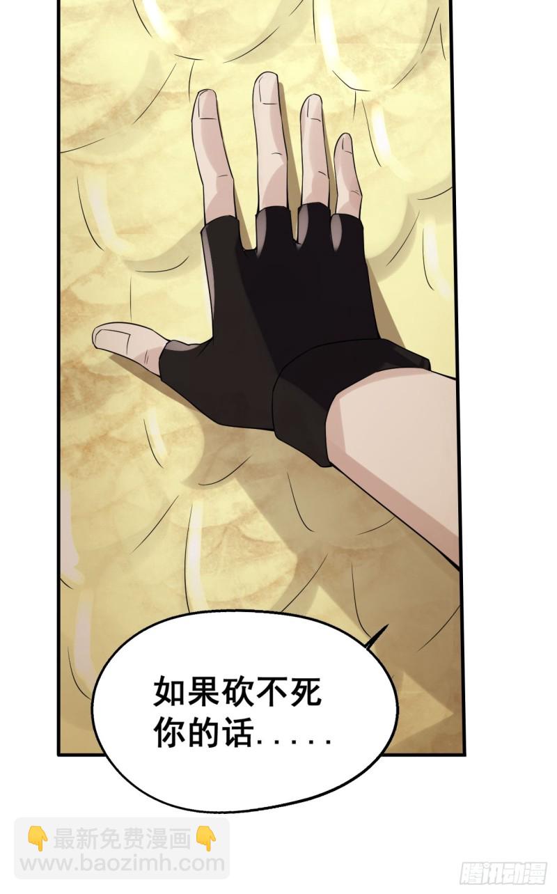 🍲重生大玩家 帝骑龙皇 第13页