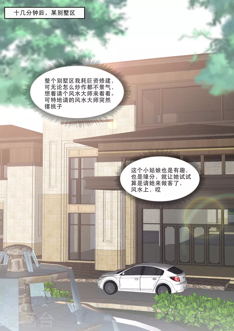 🍲重生国民千金 第21话 新晋风水界泰斗 第15页