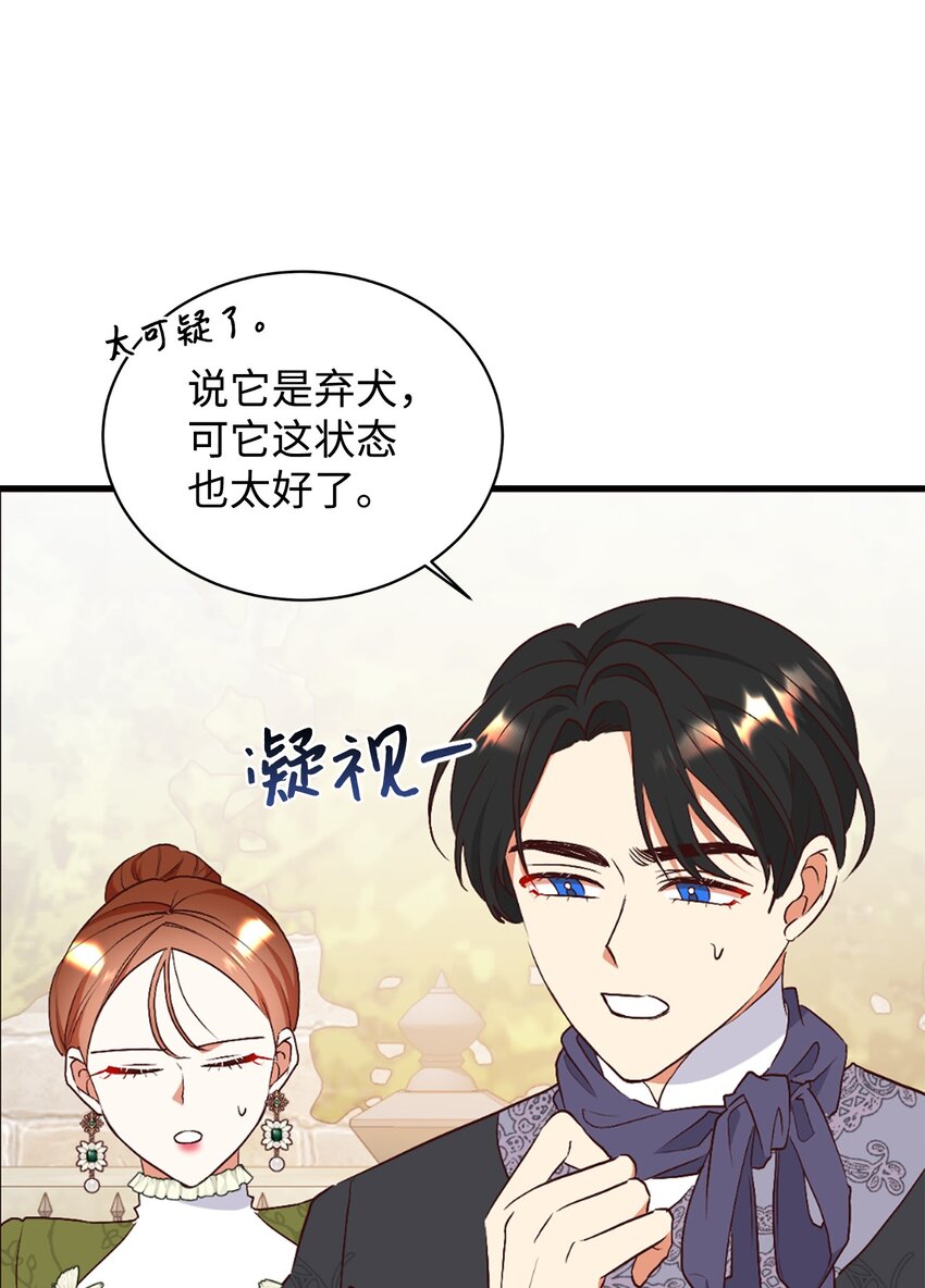 72 找上门的狗狗(1/2)-第73话