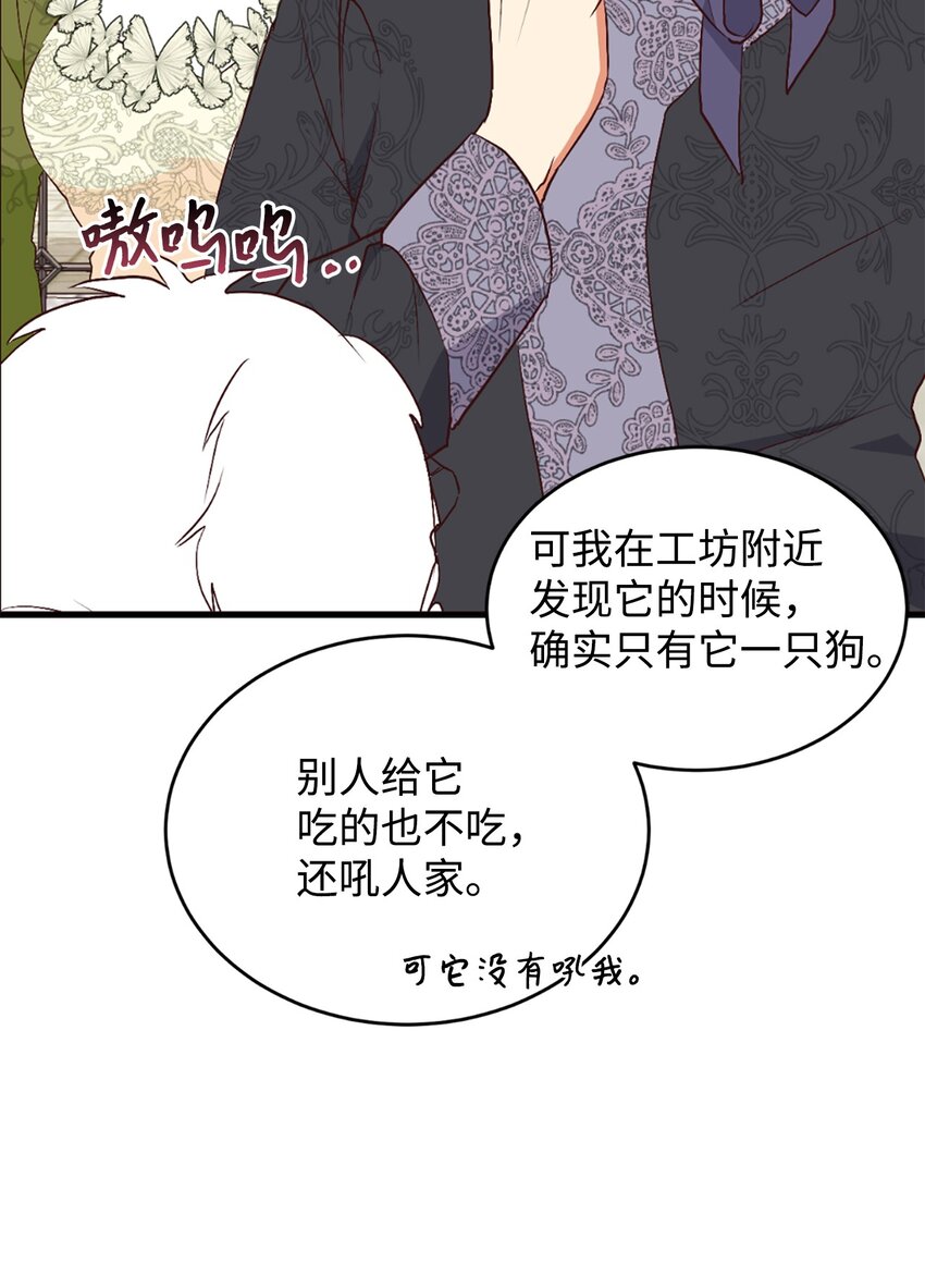 72 找上门的狗狗(1/2)-第73话