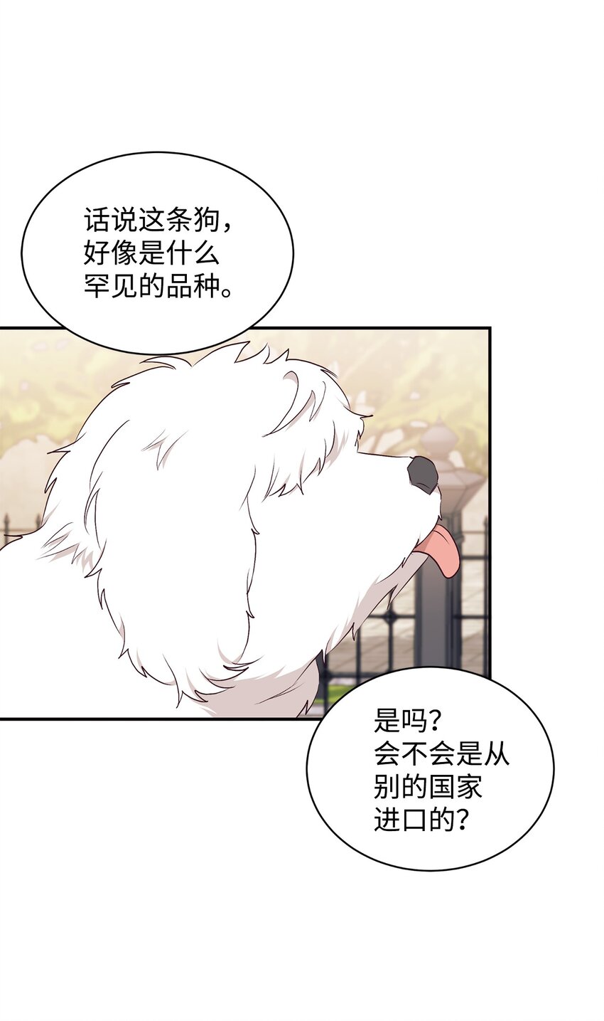 72 找上门的狗狗(1/2)-第73话