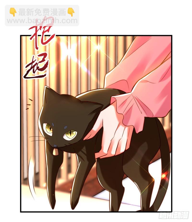 🍲重生空间：大小姐不好惹 第252话 白晴月？她怎么在这 第31页
