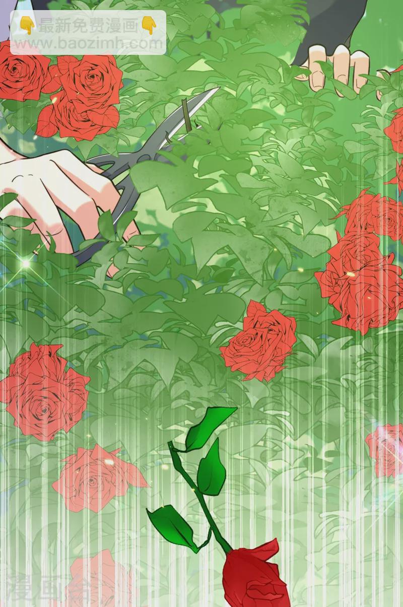 🍲重生空间：豪门辣妻不好惹 第310话 奇怪？他们在跟踪我 第17页