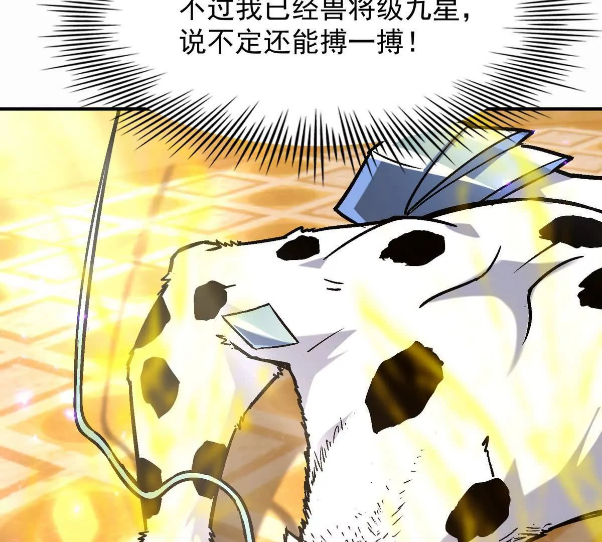 第24话 赌局！王金泽的算盘！(1/4)-第25话