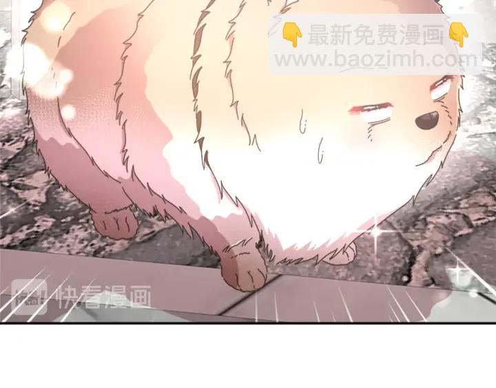 🍲重生为魔王的女儿 第103话 我就是诅咒 第19页