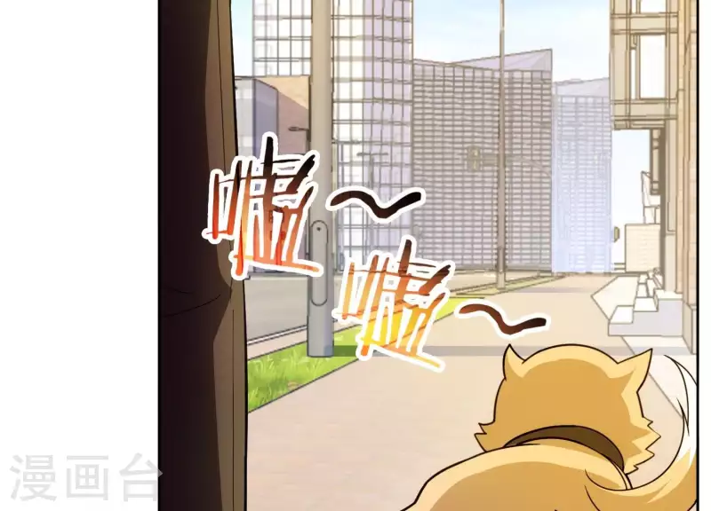 第13话 小弟显威(1/2)-第13话