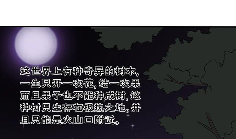 第14话 火阳果-第15话
