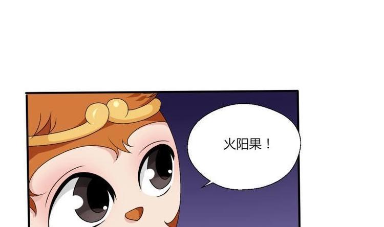 第14话 火阳果-第15话