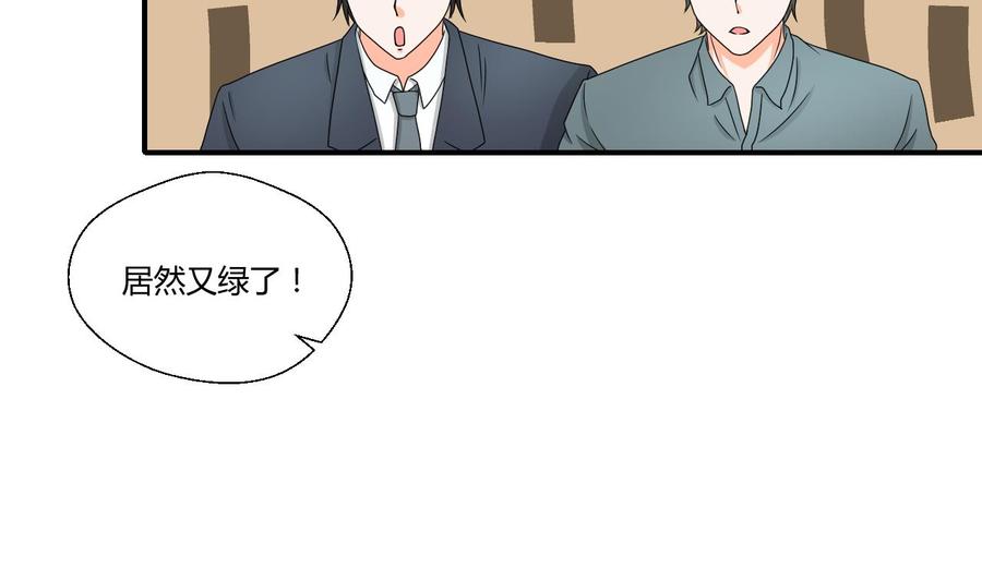 第144话 帝王绿(1/2)-第147话