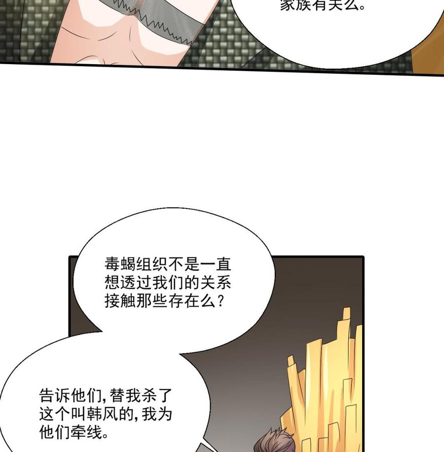 第160话 毒蝎组织-第163话
