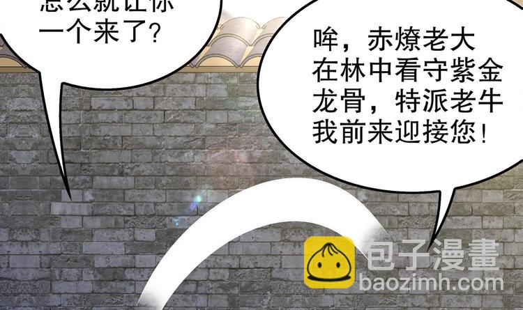 第29话 龙骨送到啦(1/2)-第31话