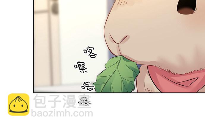 219.解围(1/3)-第215话