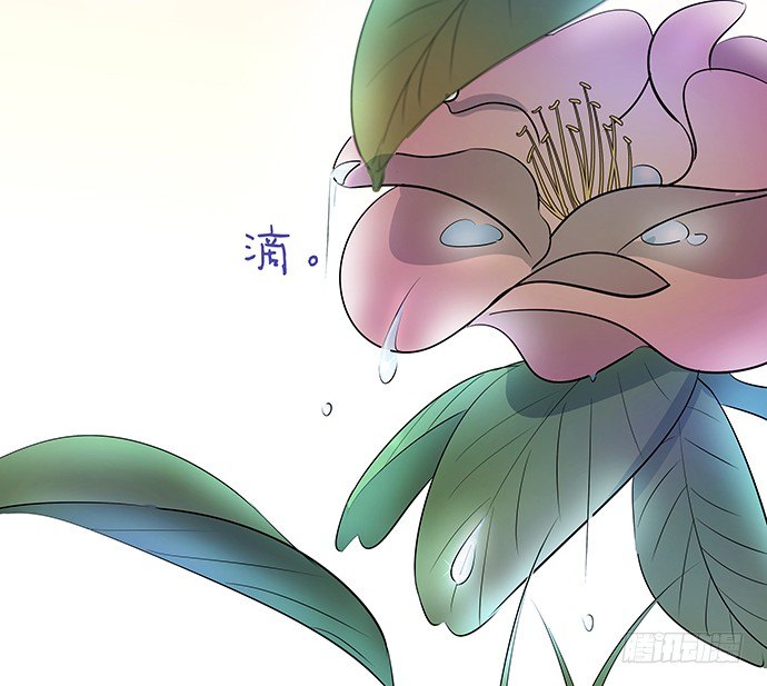 47.花妖之重生（下）(1/3)-第47话