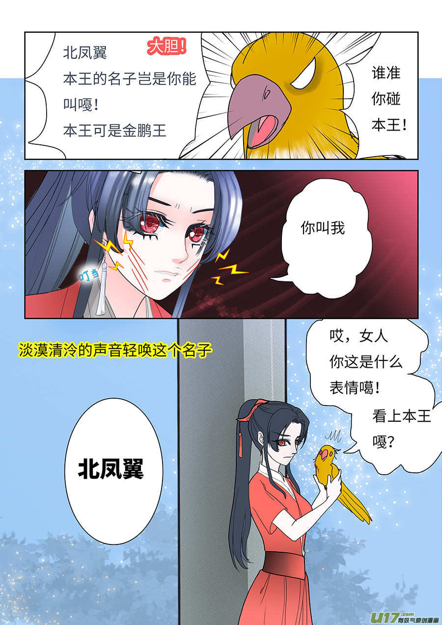🍲重生之—仙渊 124 新章 遇 见 第8页