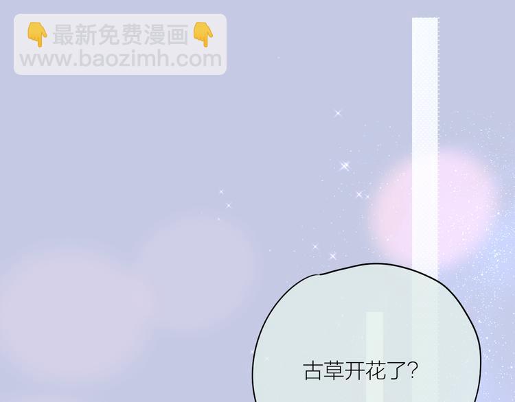番外三（中）情愫(1/2)-第111话