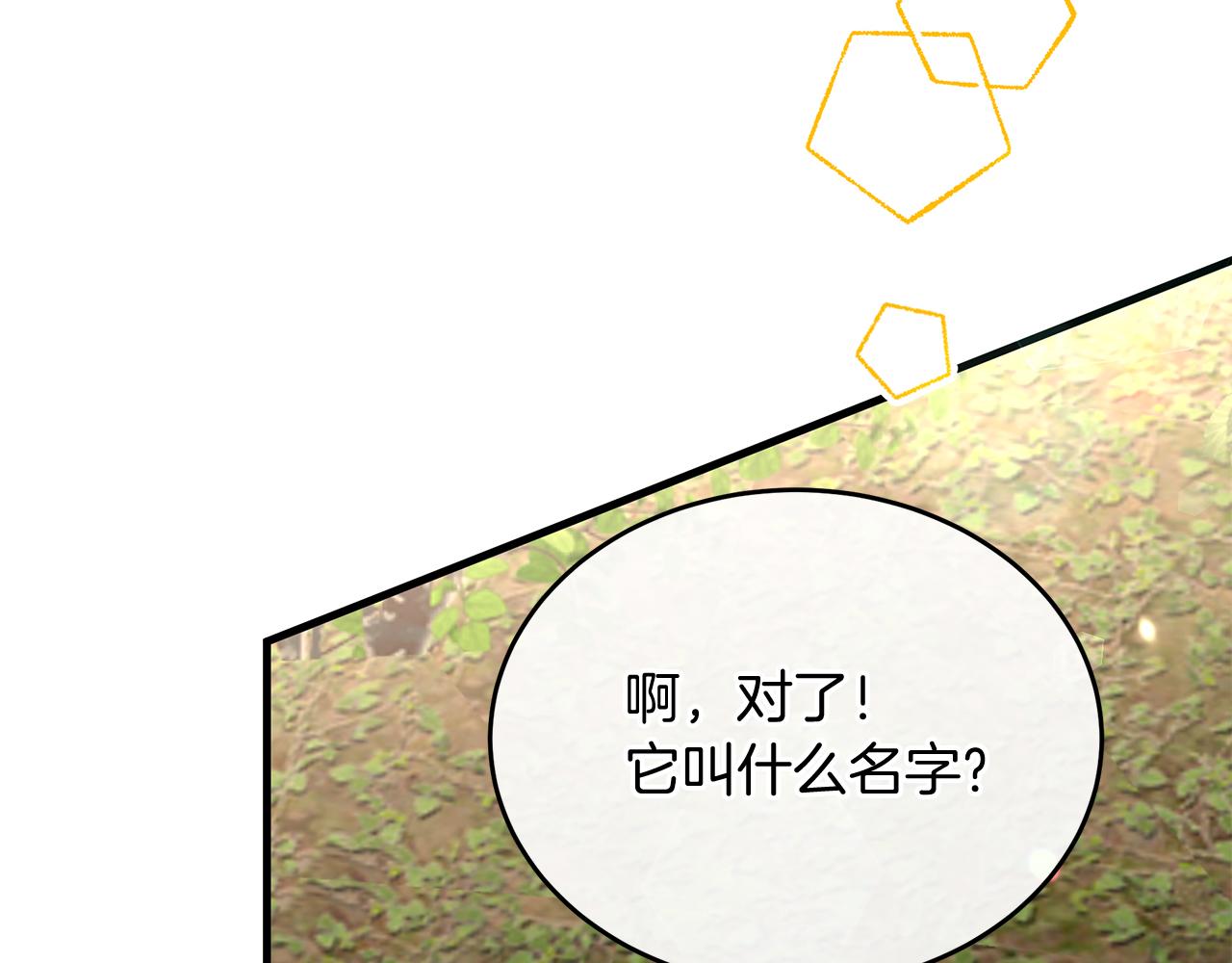 第29话 皮奥尼(1/5)-第29话