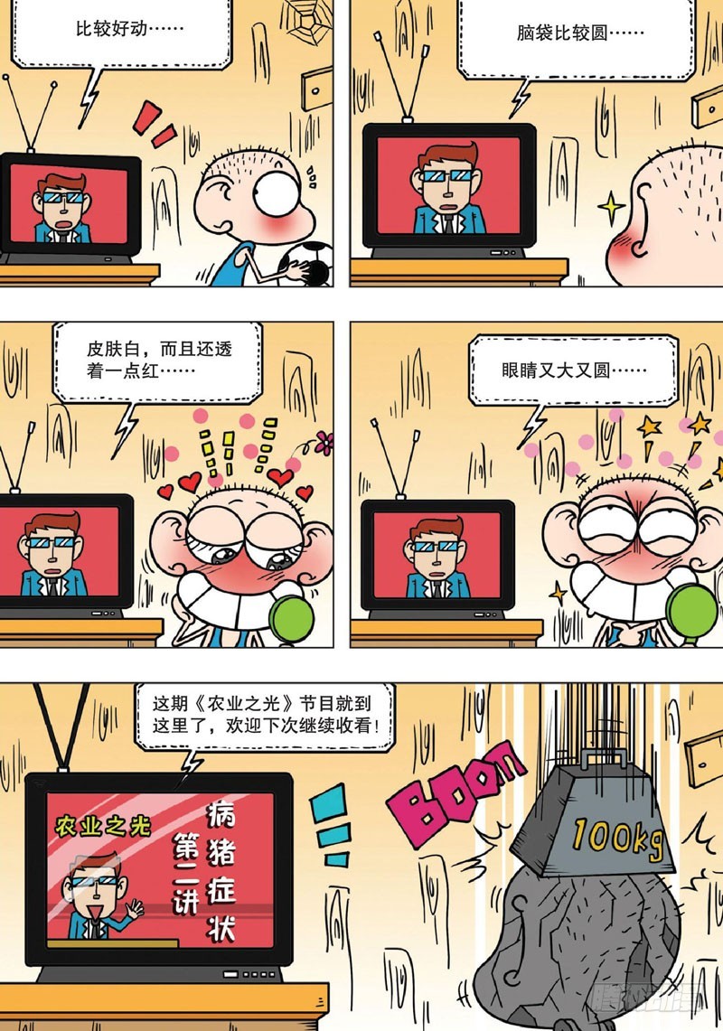 第141回-第155话