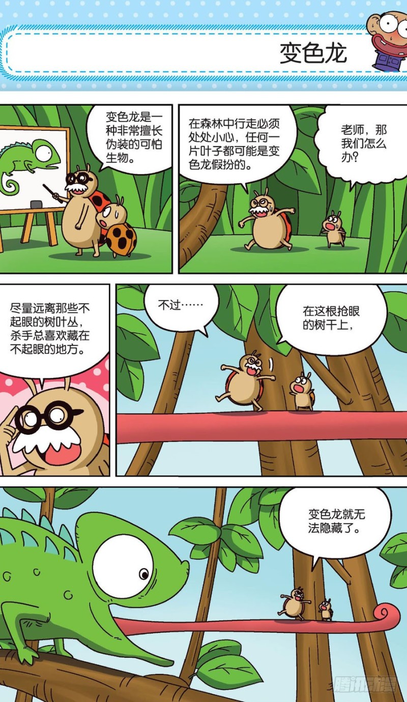 第159回-第173话