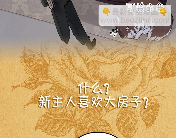 一条凡尔赛狗的烦恼(1/2)-第3话