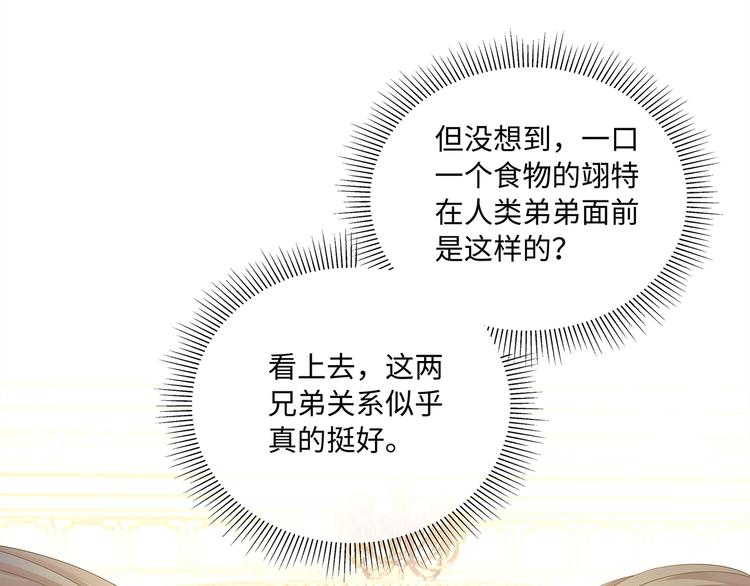 第11话 女装很好看哦！(1/3)-第13话
