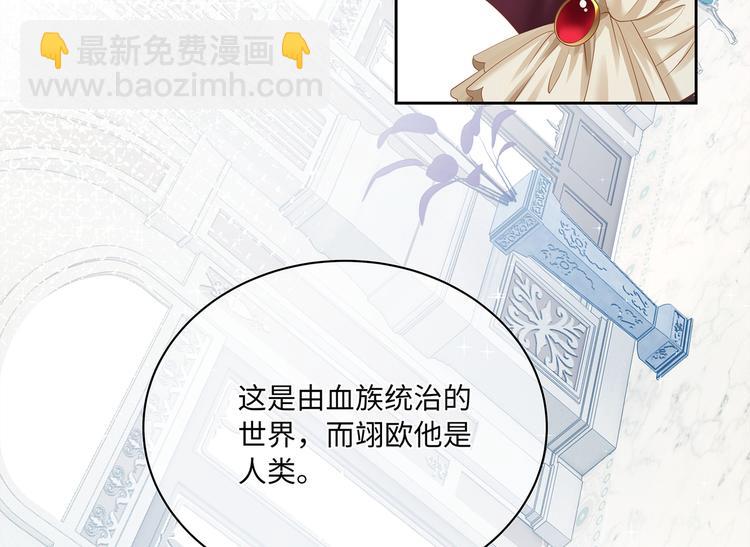 第11话 女装很好看哦！(1/3)-第13话