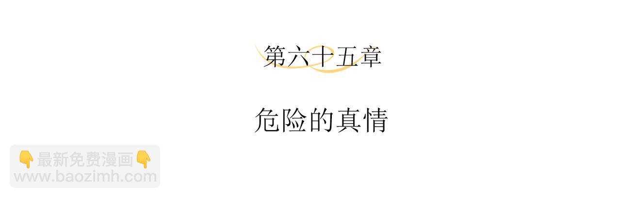 第65话 危险的真情(1/2)-第69话