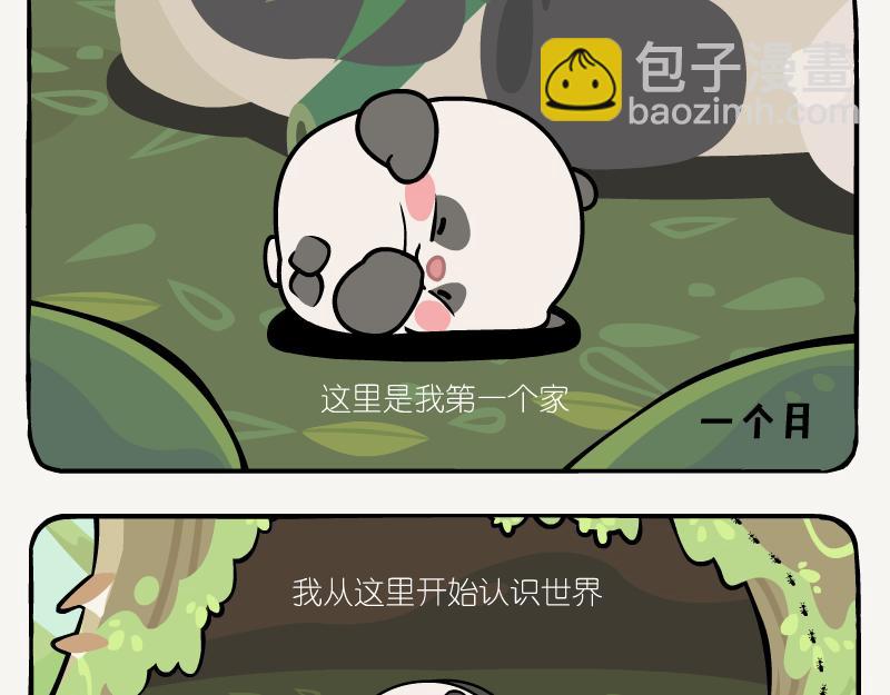 第11话 在树洞-第11话