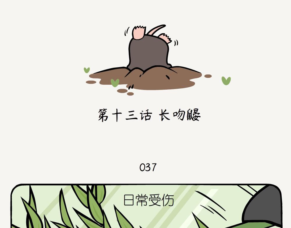 第13话 长吻鼹-第13话