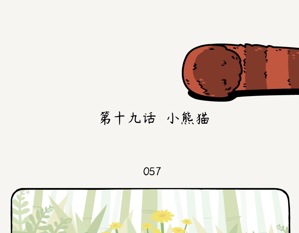 第19话 小熊猫-第19话