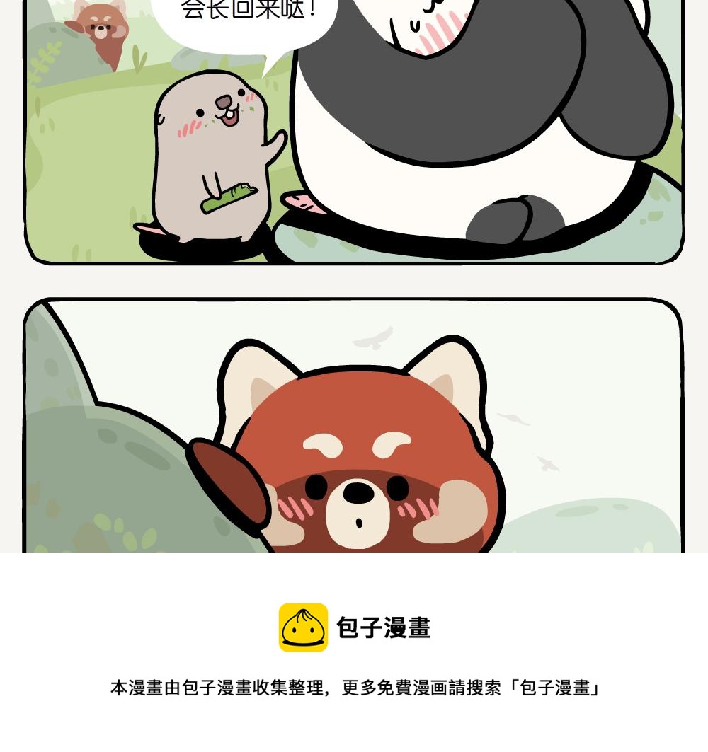 第19话 小熊猫-第19话