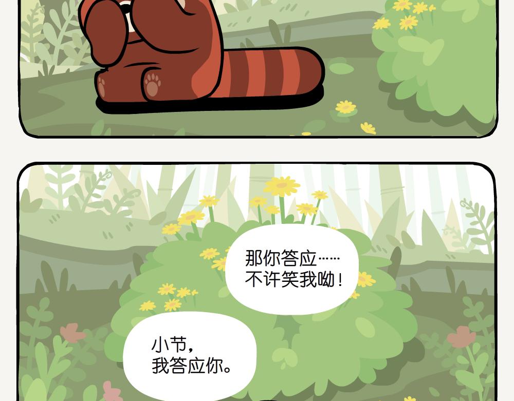 第19话 小熊猫-第19话