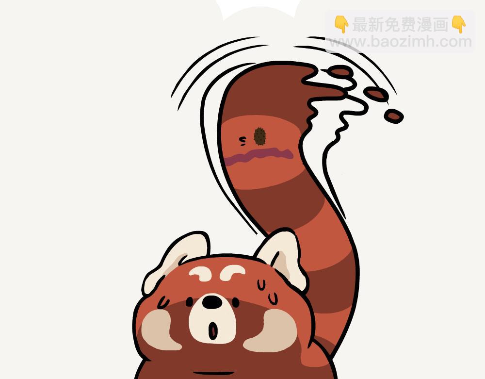第41话 白颊噪鹛-第41话