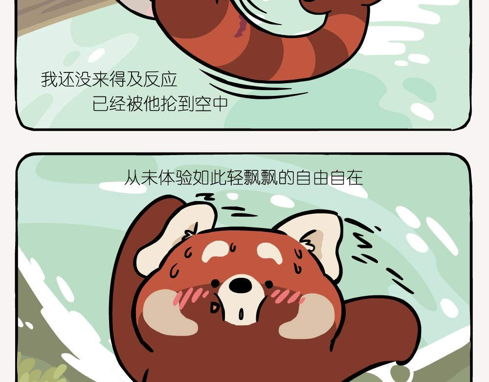 第41话 白颊噪鹛-第41话