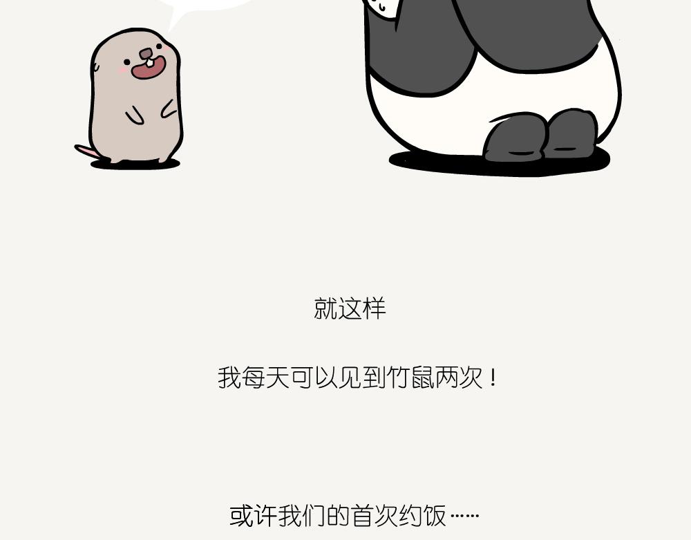 第45话 纵纹腹小鸮-第45话