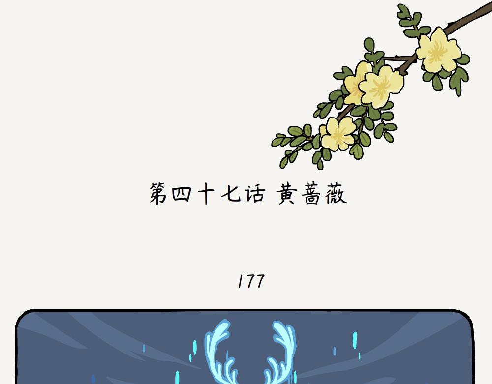 第47话 黄蔷薇-第47话