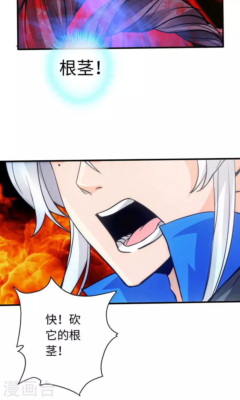 第31话-第31话