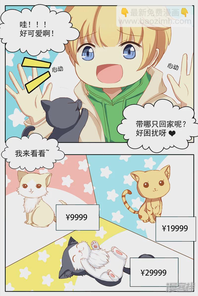 孤独的人需要猫咪-第1话