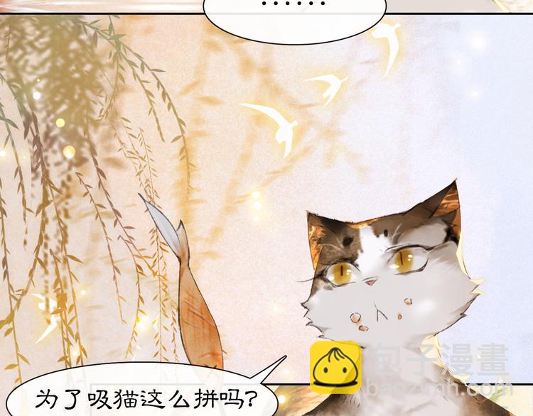 第16话 鱼也吸猫？(1/2)-第21话