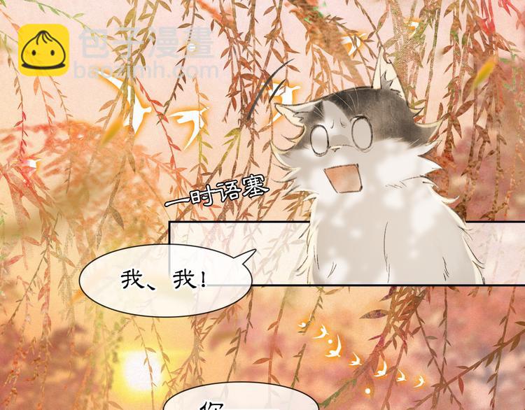 第16话 鱼也吸猫？(1/2)-第21话